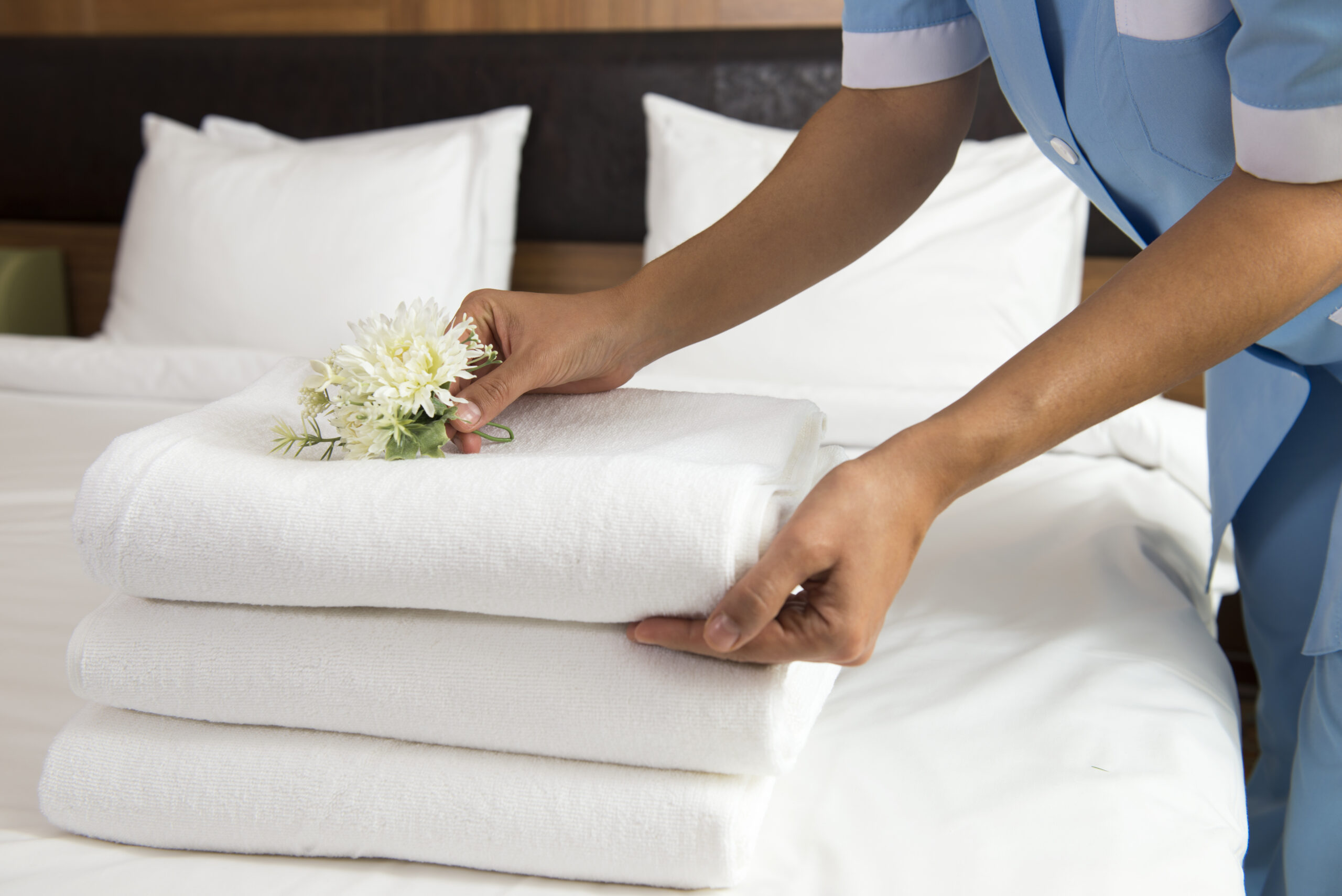 housekeeper placing flower on stack of towels