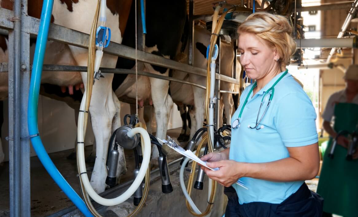 Dairy Farm Management